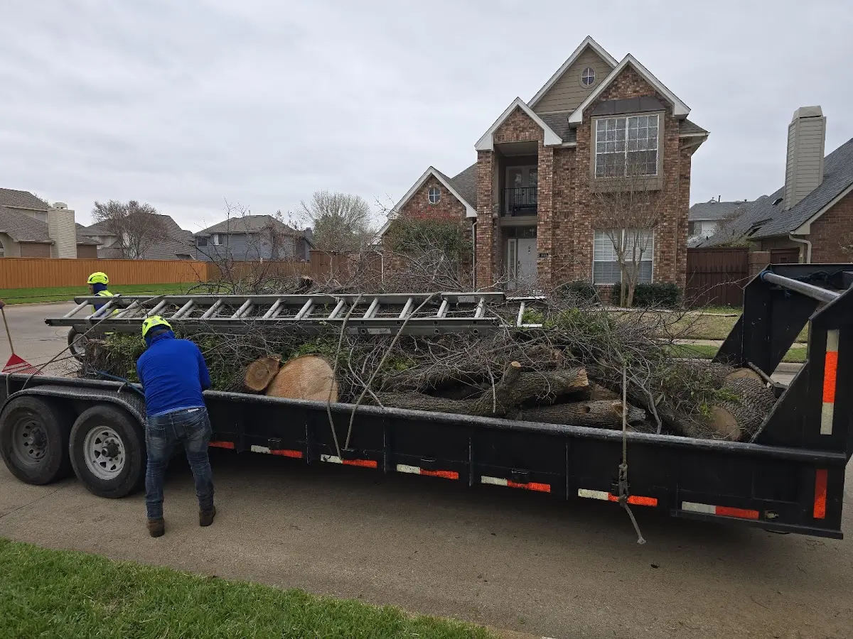 Expert Lot Clearing with proper safety equipment in Windom